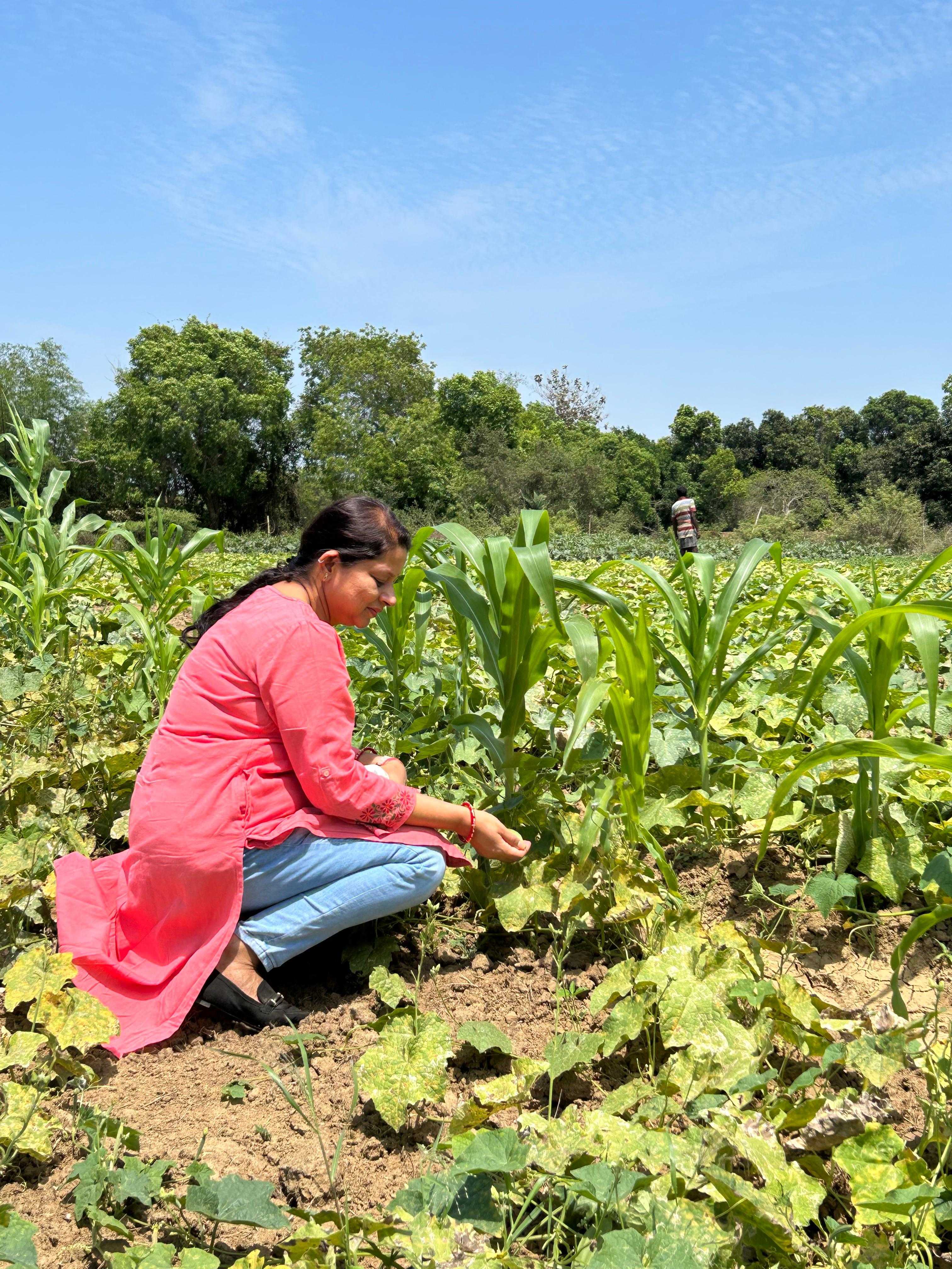 Farmer Partnership Tags